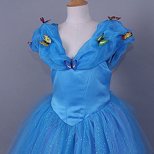 Blue princess dress with butterflies Cinderella style for little girl
