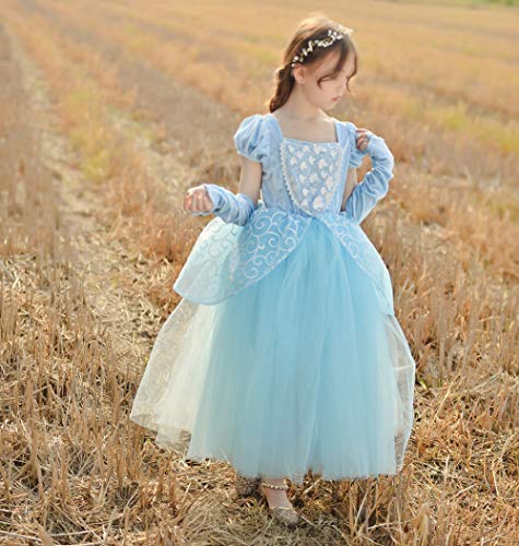 Cinderella Cosplay Dress for girl